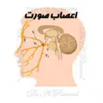 اعصاب صورت| آسیب های عصبی| جراحی ترمیمی و بهبود عملکرد عضو